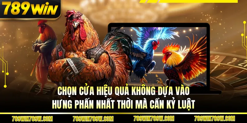 Đá Gà Mang Tại 789win - Bí Quyết Đọc Trận Và Nâng Cấp Tư Duy Cược 4 Chọn cửa hiệu quả không dựa vào hưng phấn nhất thời mà cần kỷ luật