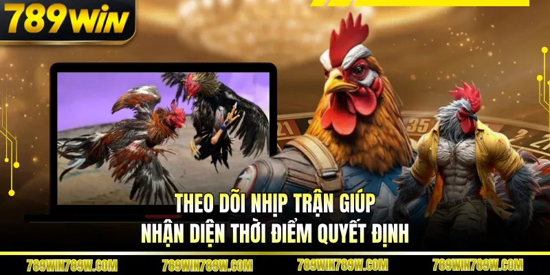 Luật Chơi Đá Gà Cựa Sắt Chi Tiết, Đúng Để Theo Dõi Chuẩn 6 Theo dõi nhịp trận giúp nhận diện thời điểm quyết định