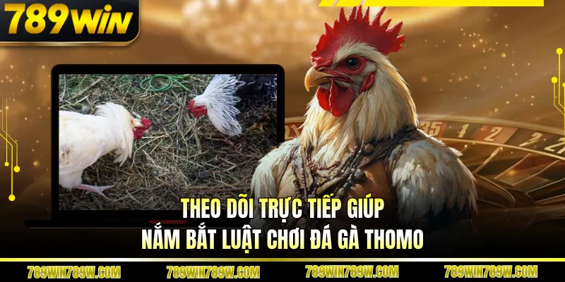 Luật Chơi Đá Gà Thomo Chi Tiết, Hiểu Đúng Để Theo Dõi Chuẩn 6 Theo dõi trực tiếp giúp nắm bắt luật chơi đá gà Thomo