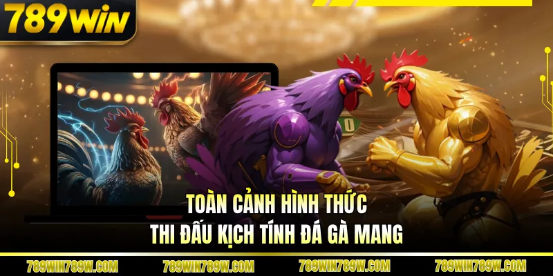 Đá Gà Mang Tại 789win - Bí Quyết Đọc Trận Và Nâng Cấp Tư Duy Cược 2 Toàn cảnh hình thức thi đấu kịch tính đá gà mang