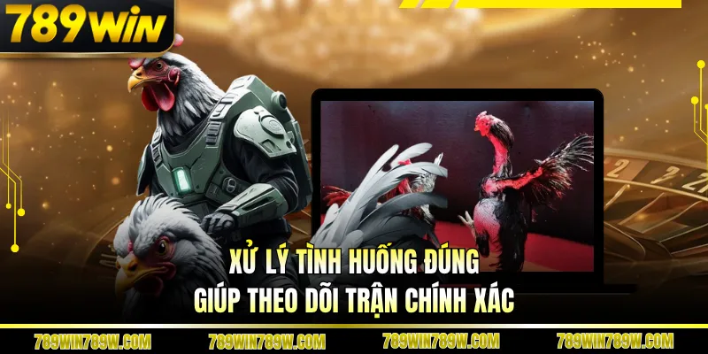 Luật Chơi Đá Gà Cựa Sắt Chi Tiết, Đúng Để Theo Dõi Chuẩn 5 Xử lý tình huống đúng giúp theo dõi trận chính xác